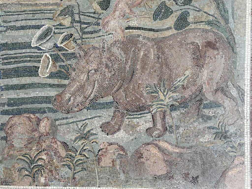 Ancient Roman mosaic showing a hippo surrounded by foliage on display at the Palazzo Massimo, part of the National Roman Museum in Rome.