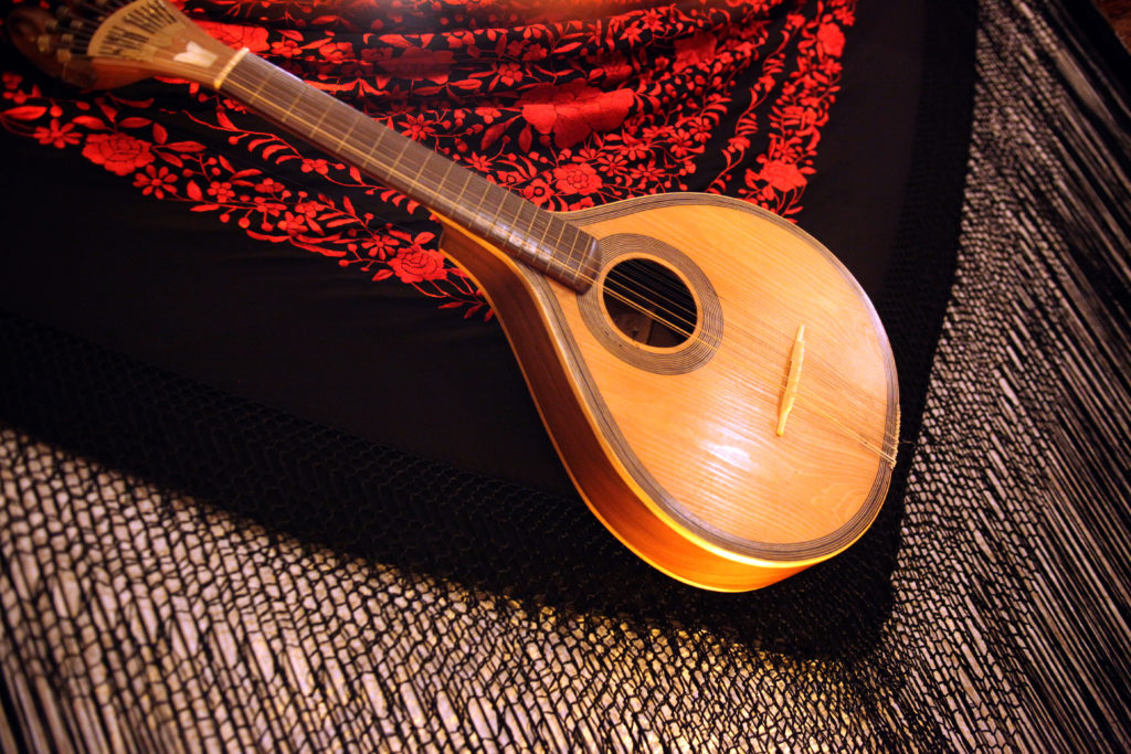 guitar used in fado