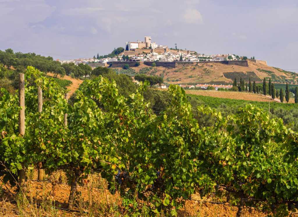 Estremoz, the White City in Alentejo region, Portugal