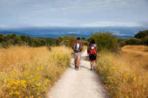 Walking the Way from Pamplona to Santiago de Compostela: A Camino Journal