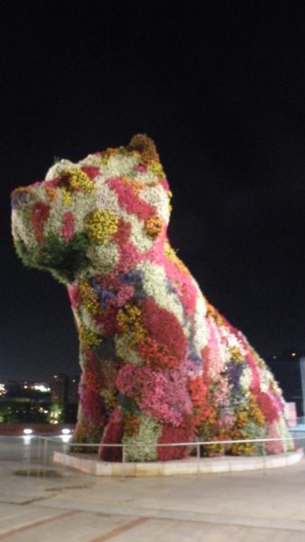 Puppy at night in front of the Guggenheim Bilbao