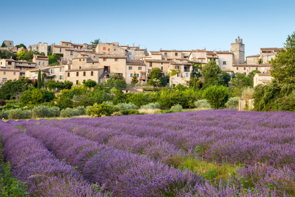 Village of Saignon in Provence with lavender field in the foreground