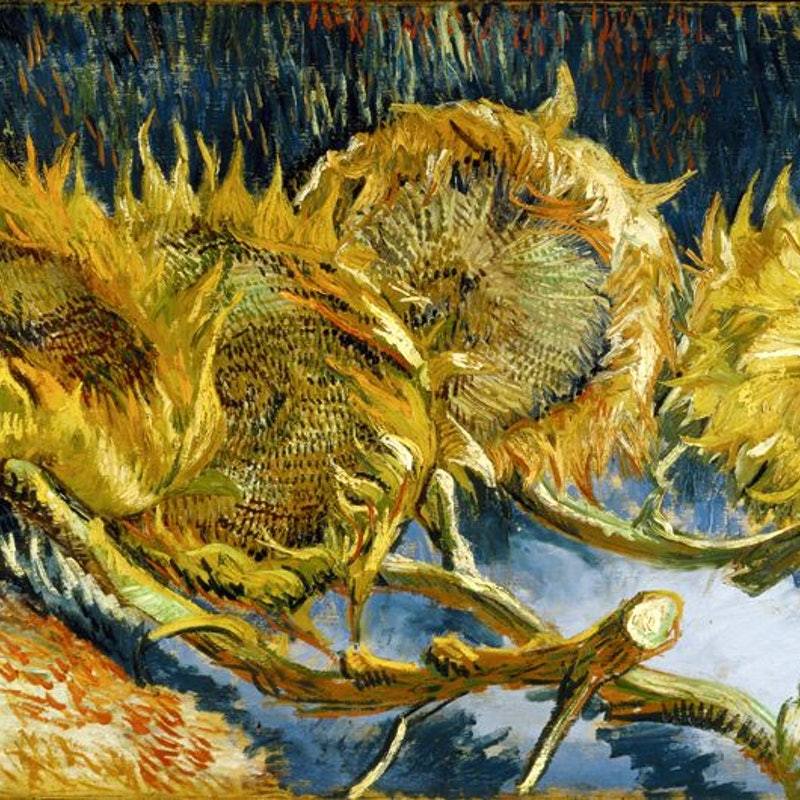 Close-up of Van Gogh's Sunflowers painting, showing vibrant yellow sunflowers in various stages of decay, set against a blue background.