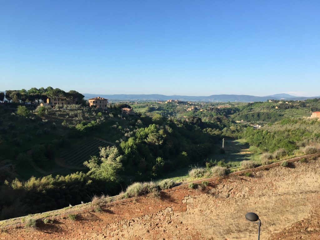 View from the Athena Hotel in Siena