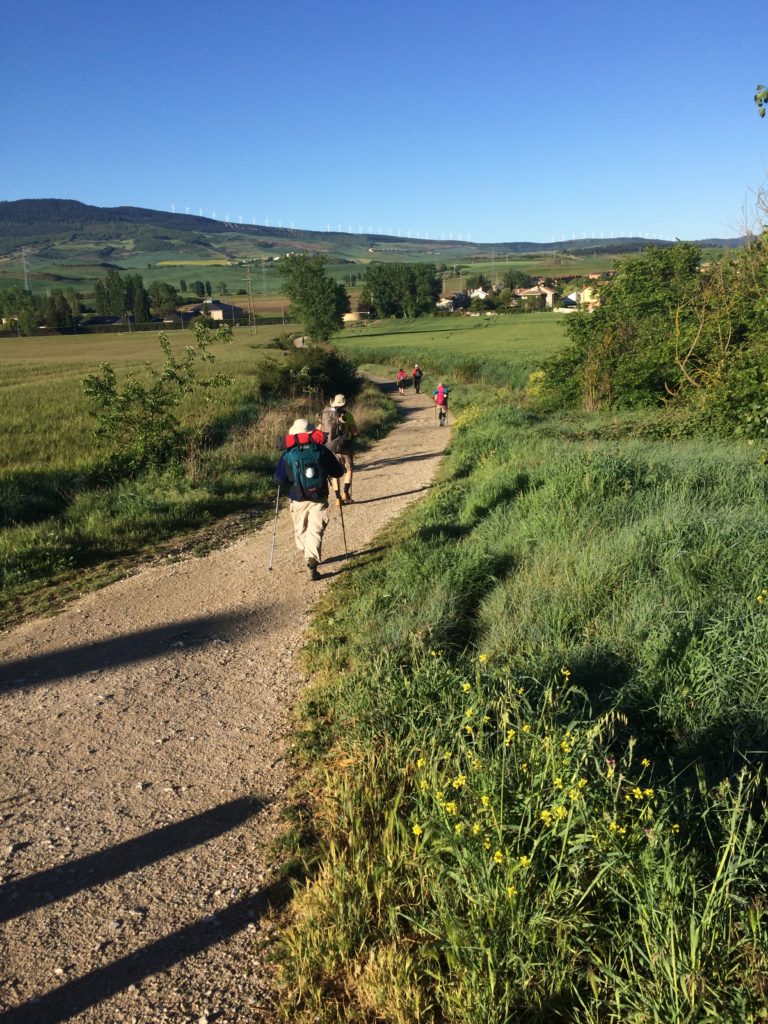 Walking the Camino of Santiago near Pamplona