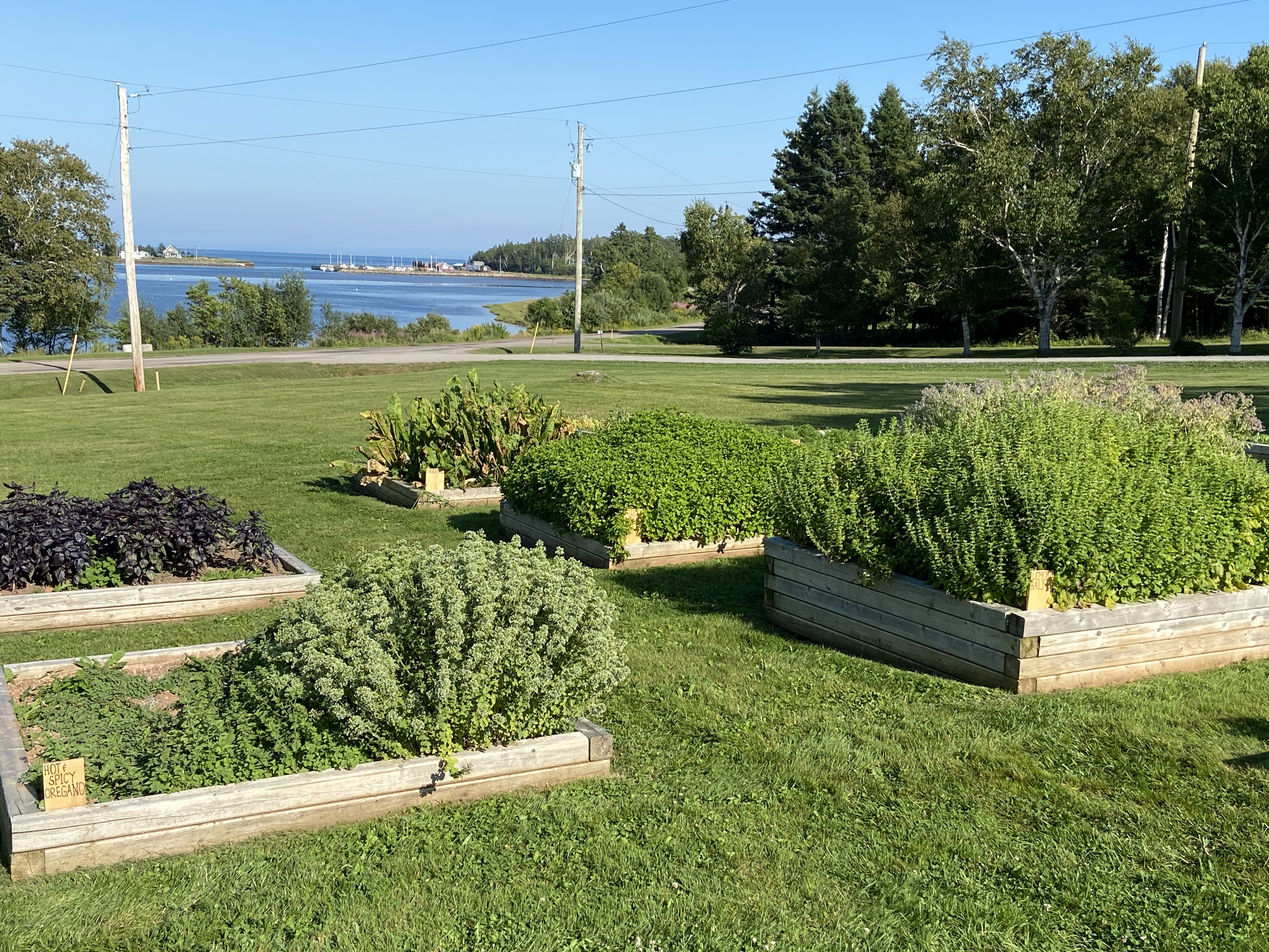 Raised beds containing herbs on the front lawn of the Inn at Bay Fortune on Prince Edward Island, Canada during the Farm Tour portion of the FireWorks Feast