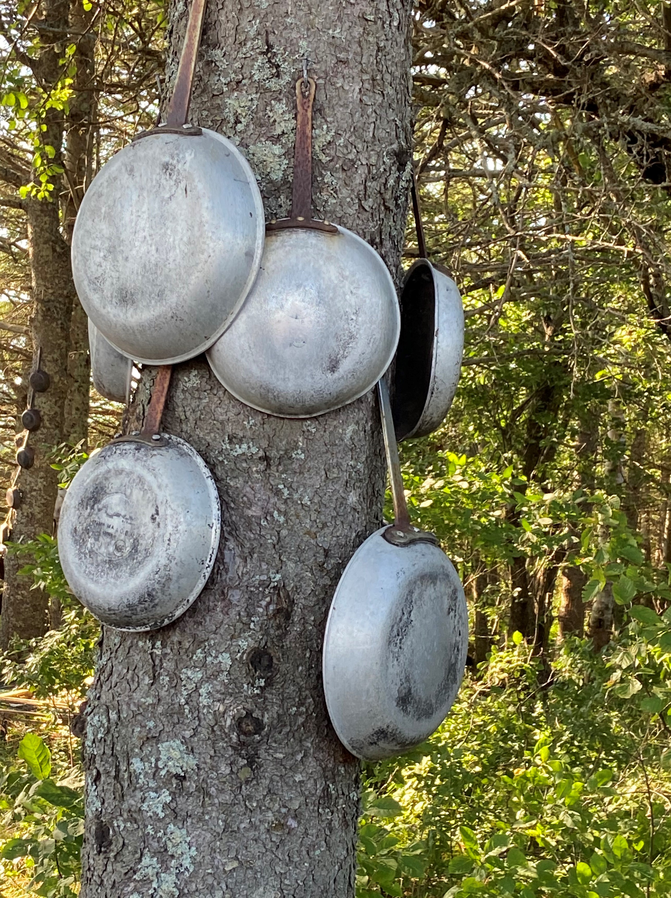 Pots and Pans hanging on a tree at the Inn at Bay Fortune in Prince Edward Island