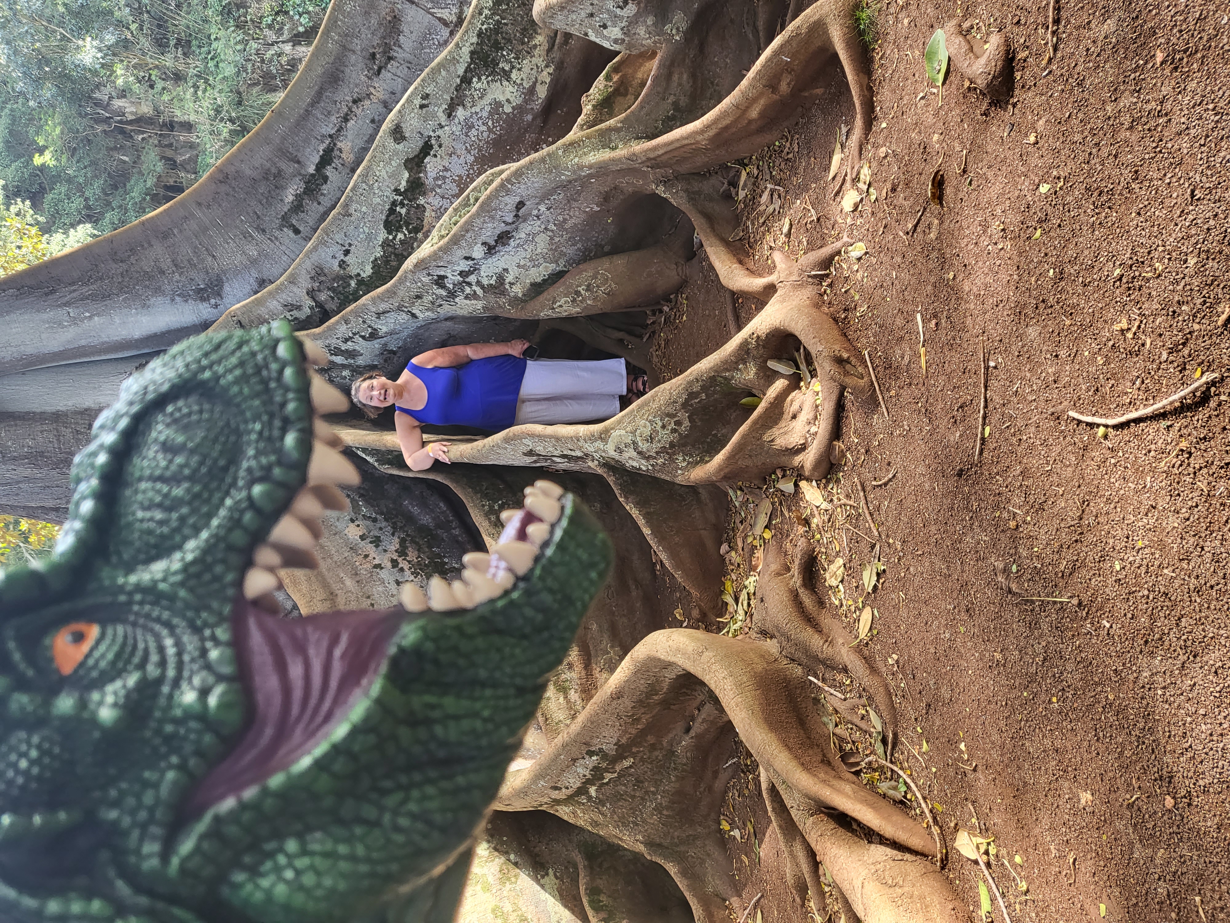 The author getting "eaten" by a plastic Tyrranosaurus Rex in the Allerton Gardens in Kauai.