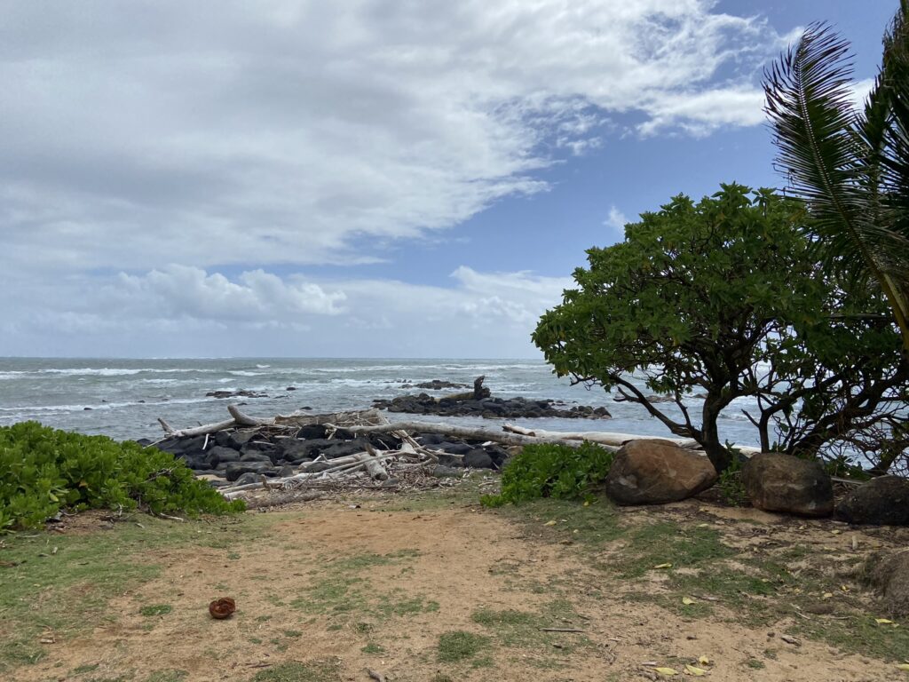 View of ocean and trees on Kauai