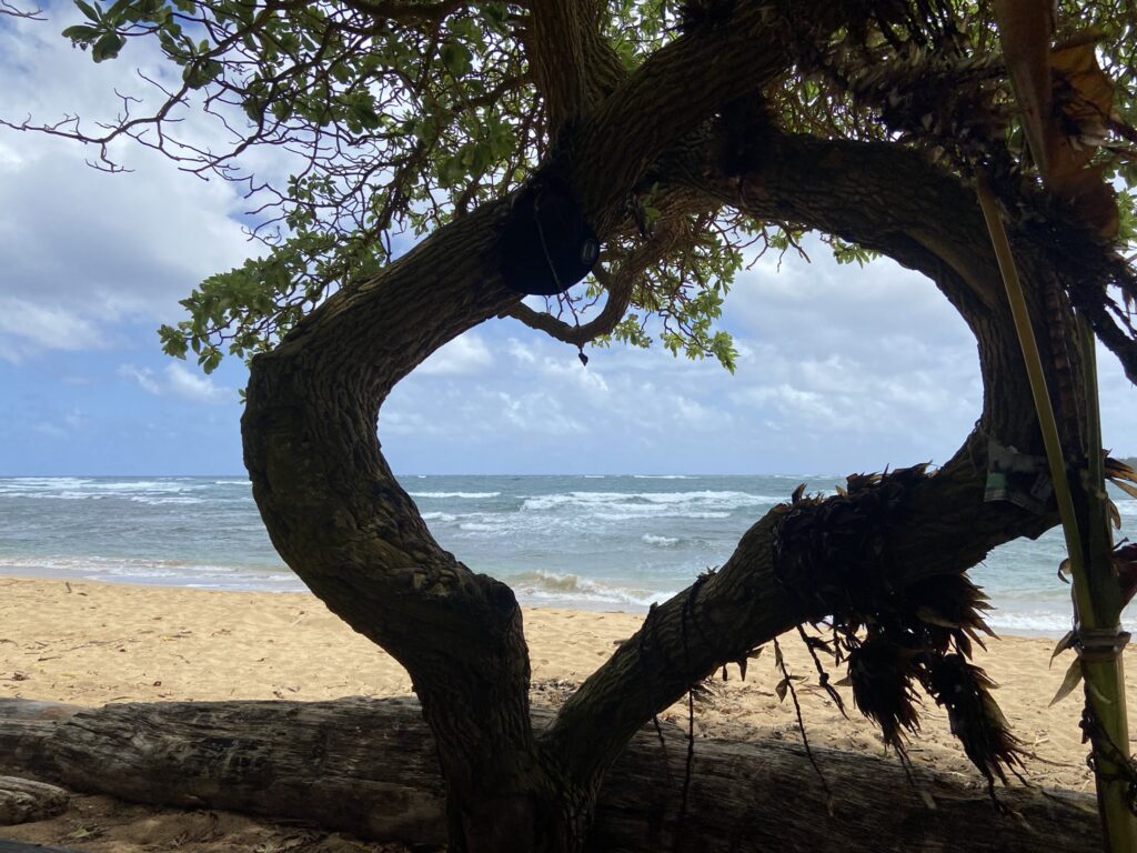 View of gorgeous Anahola Beach on the East Shore of Kauai