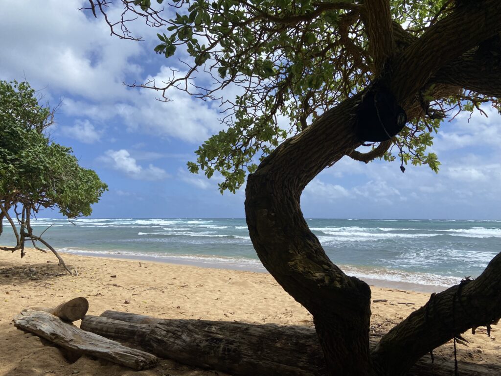 View of Anahola Beach on Kauai's East Shore