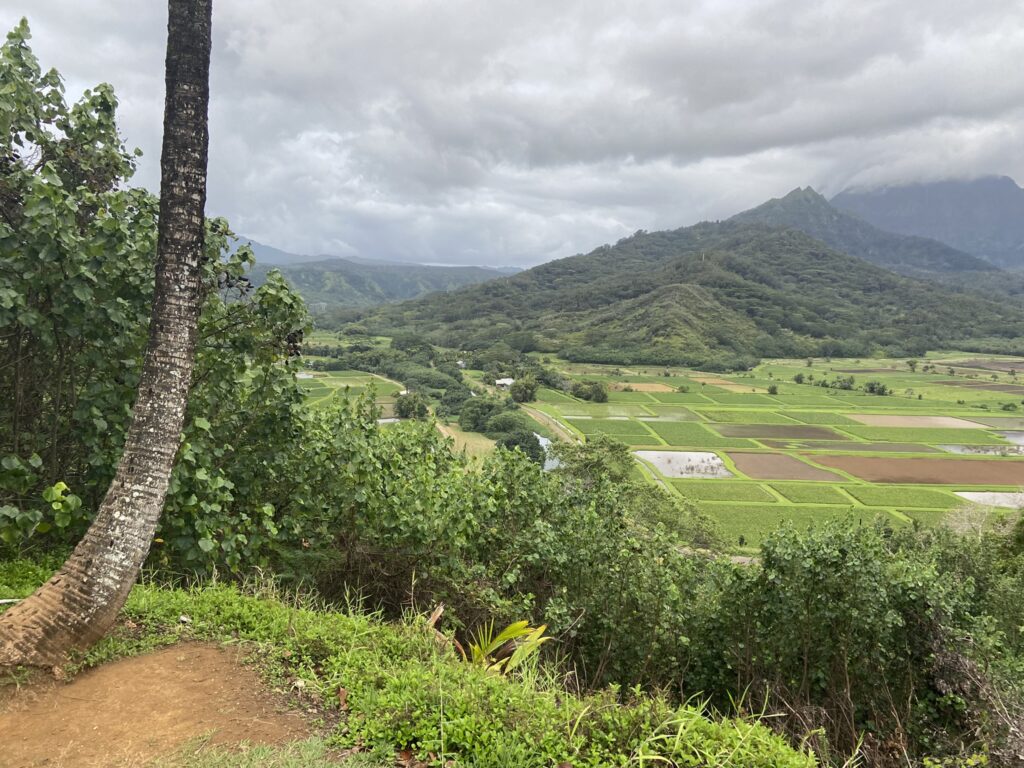 View from the Hanalei lookout on the road from Princeville to Hanalei