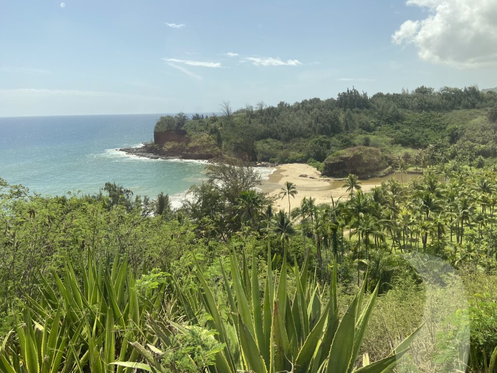 View of the beach and beautiful vegetation at the beginning of the "Best of Both Worlds" tour of the Allerton and McBryde Gardens on Kauai - A highlight of a Kauai vacation.