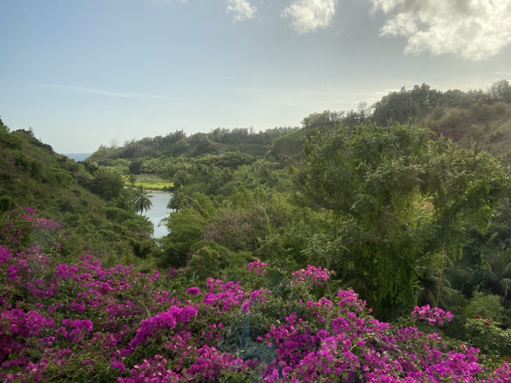 View over the McBryde and Allerton Gardens in Kauai, a highlight of a trip to Kauai.