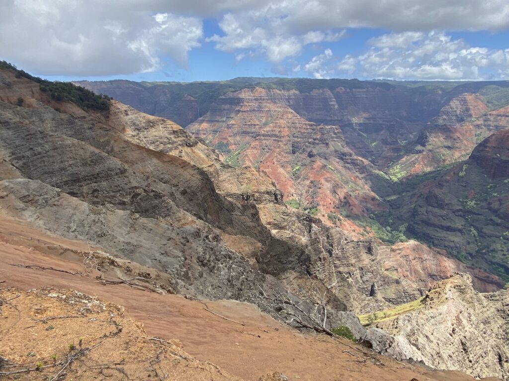 Panoramic view of the Waimea Canyon in Kauai.