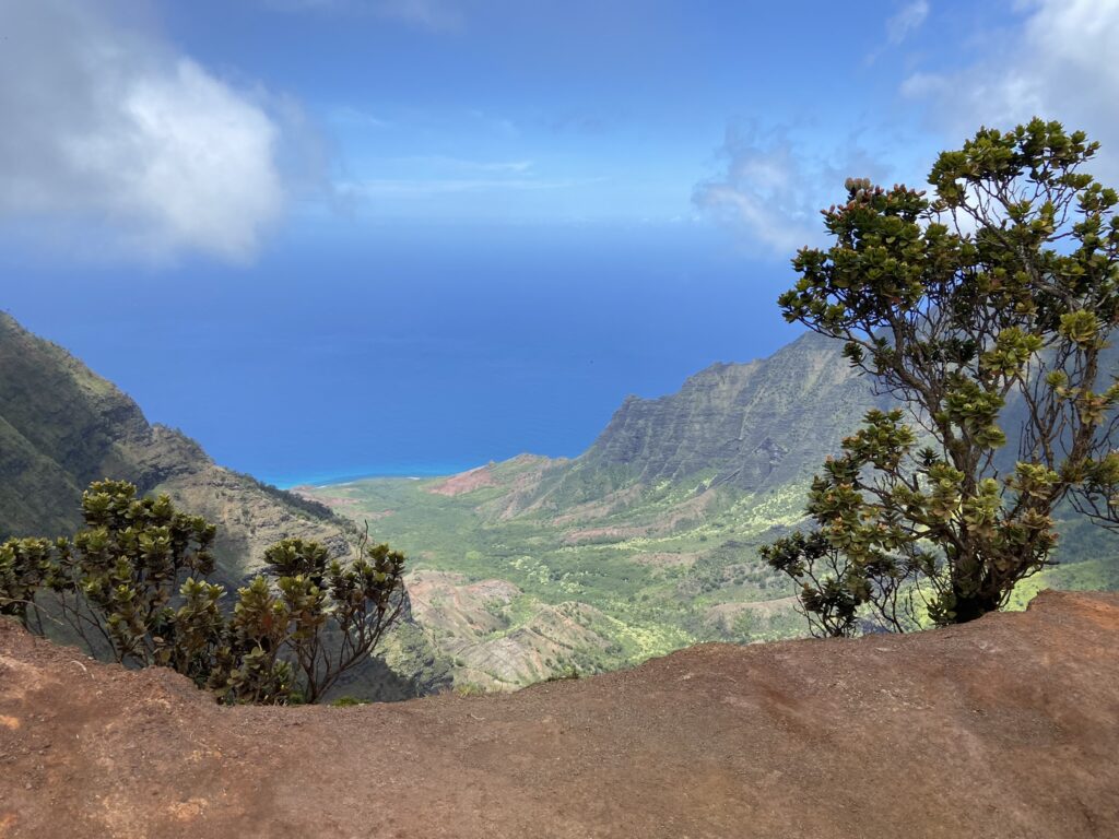 View of a green tropical valley and the blue Pacific Ocean beyond--the Kalalau Valley in Kauai.