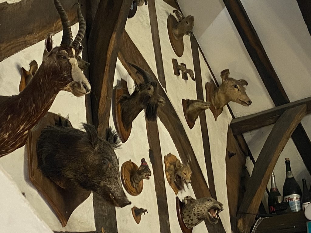 A walls of heads in the House of the Trembling Madness pub in York