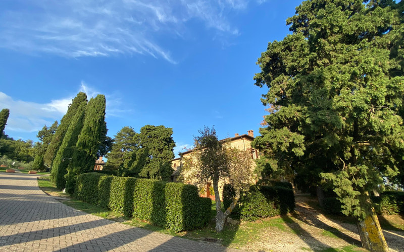 Beautiful accommodation in the Tuscany countryside