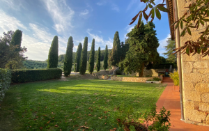 Row of cypress trees in Tuscany in the late afternoon