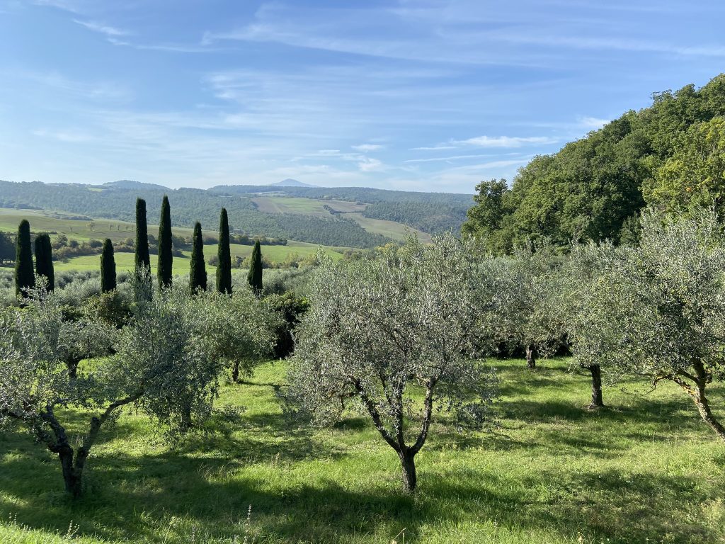 View of Tuscan countryside from Sant'Antonio Country Resort near Montepulciano