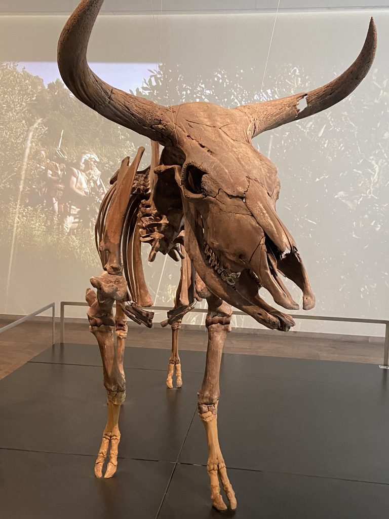 Ancient sculpture of an elk at the Danish National Museum