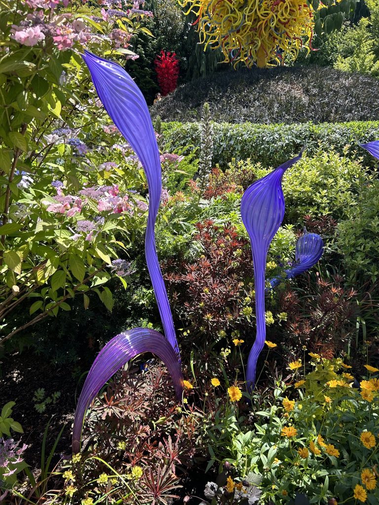Purple fern-like glass tendrils in the garden at Chihuly Garden and Glass in Seattle