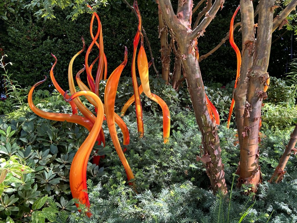 Thin and twisty orange glass tubes in the garden at Chihuly Garden and Glass in Seattle