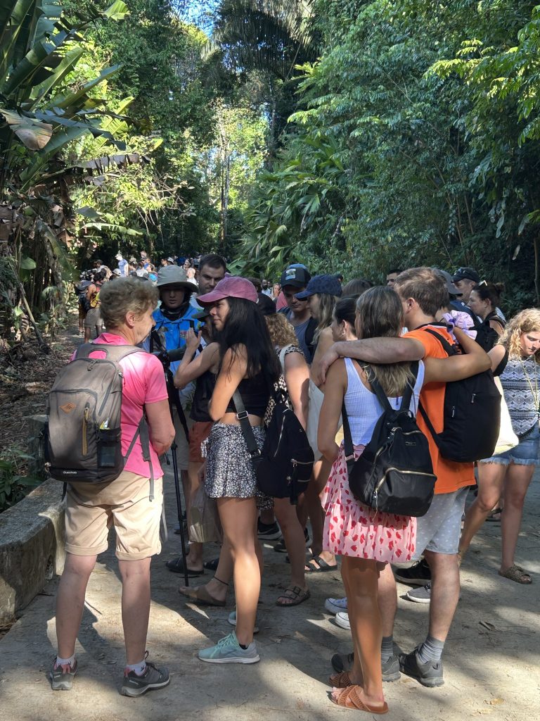 Groups of people on a nature walk at Manuel Antonio National Park in Costa Rica