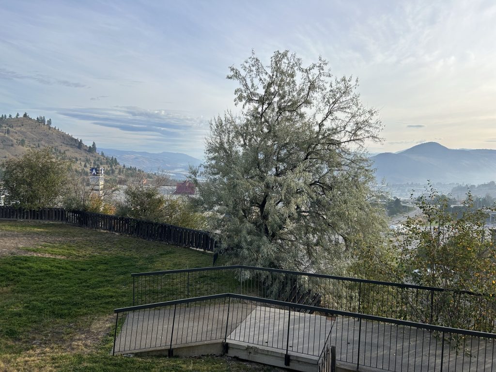 View over Kamloops from the Coast Hotel