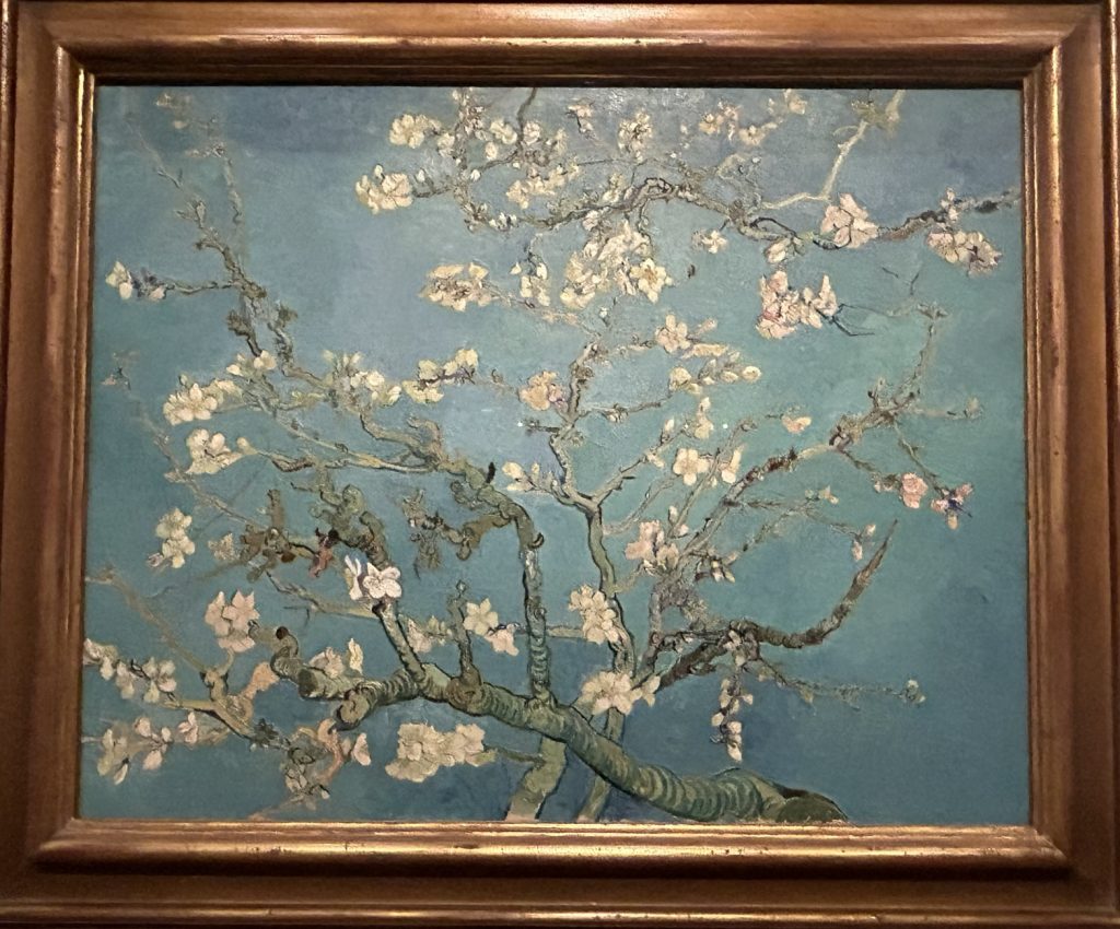 Almong Blossoms by Vincent Van Gogh at the Van Gogh Museum in Amsterdam
