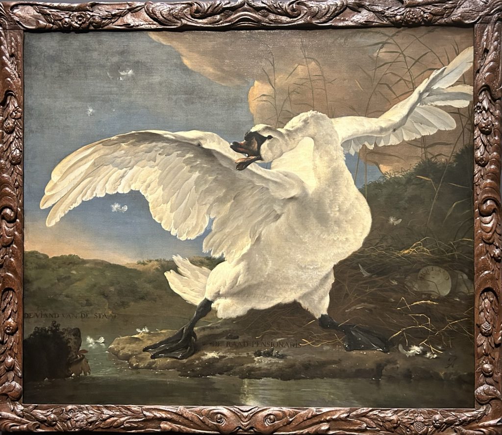 Threatened Swan in the Riiksmuseum in Amsterdam