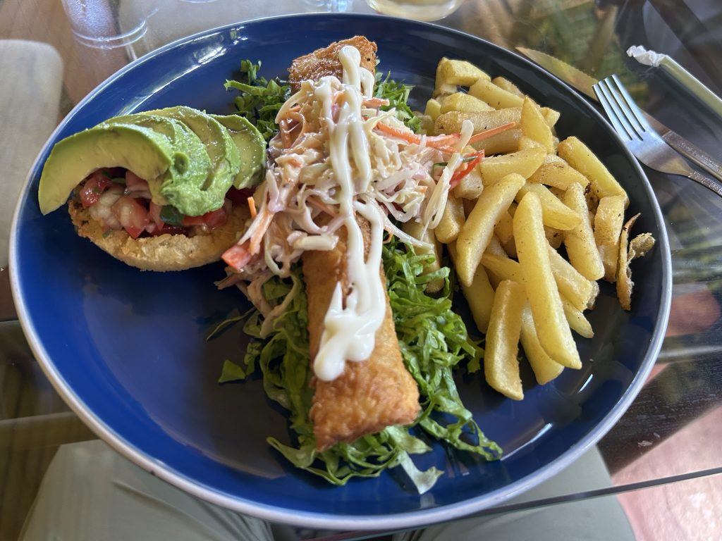 Excellent simple meal at a soda in Costa Rica