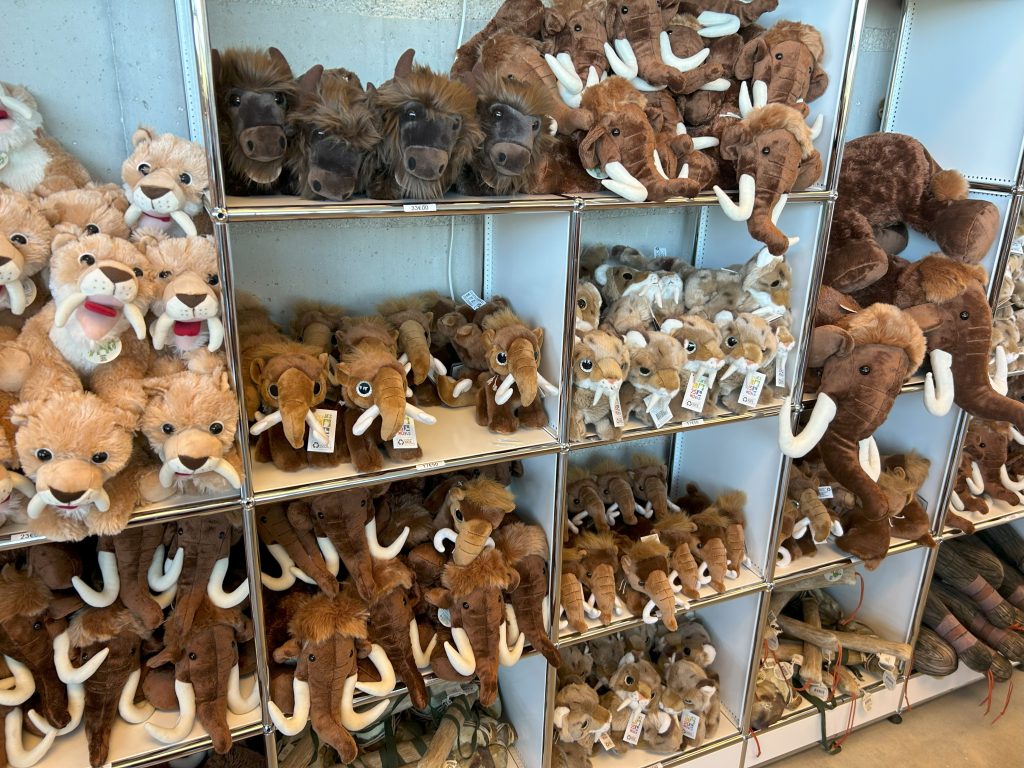 wall of stuffed animals including mammoths, saber toothed tigers and more