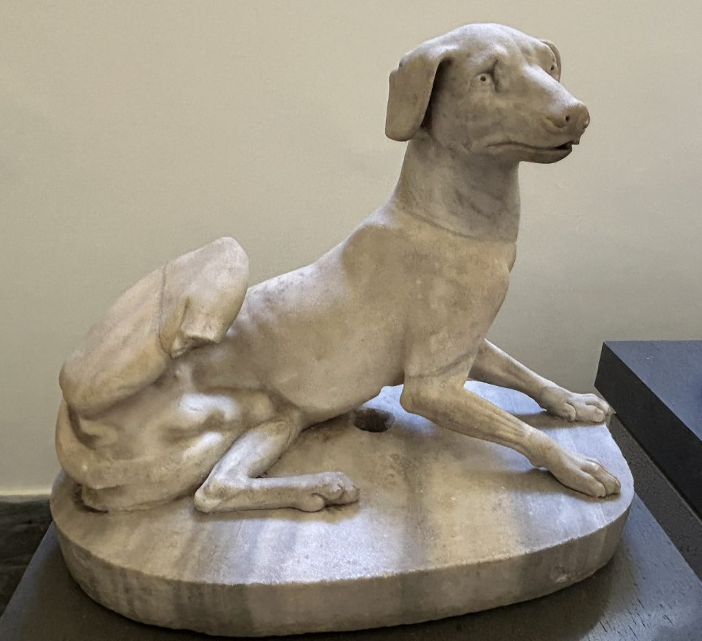 Statue of a dog at the National Archaeological Museum in Naples, Italy