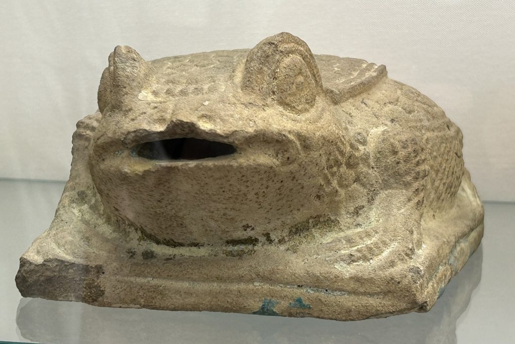 terracotta frog at the National Archeaological Museum in Naples