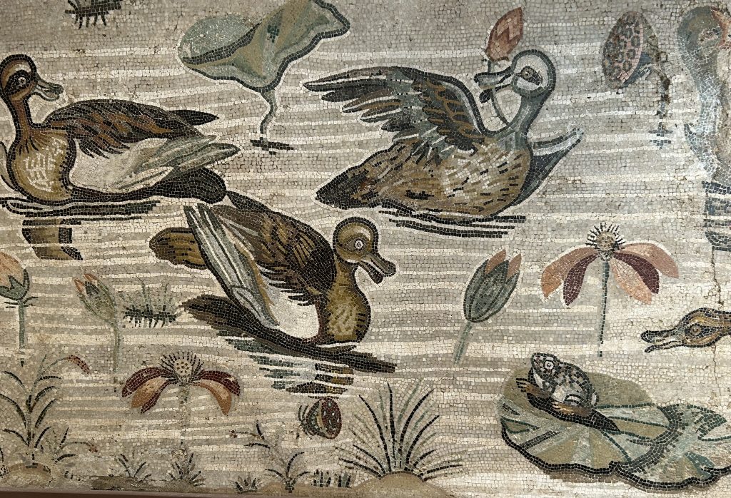 Mosaic of animals including ducks at National Archeaological Museum of Naples