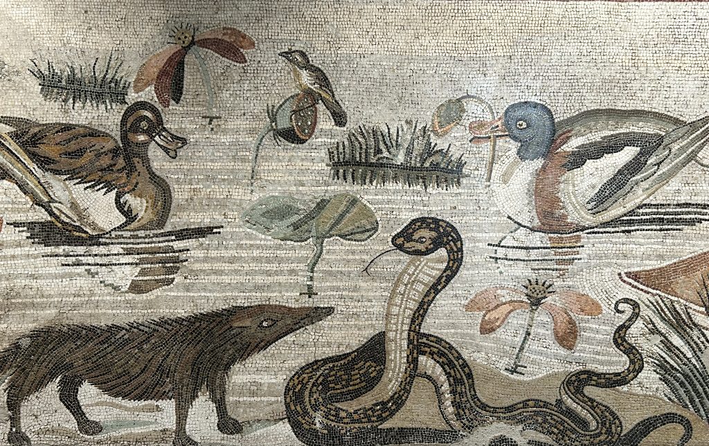 Mosaic of animals including snakes at National Archeaological Museum of Naples