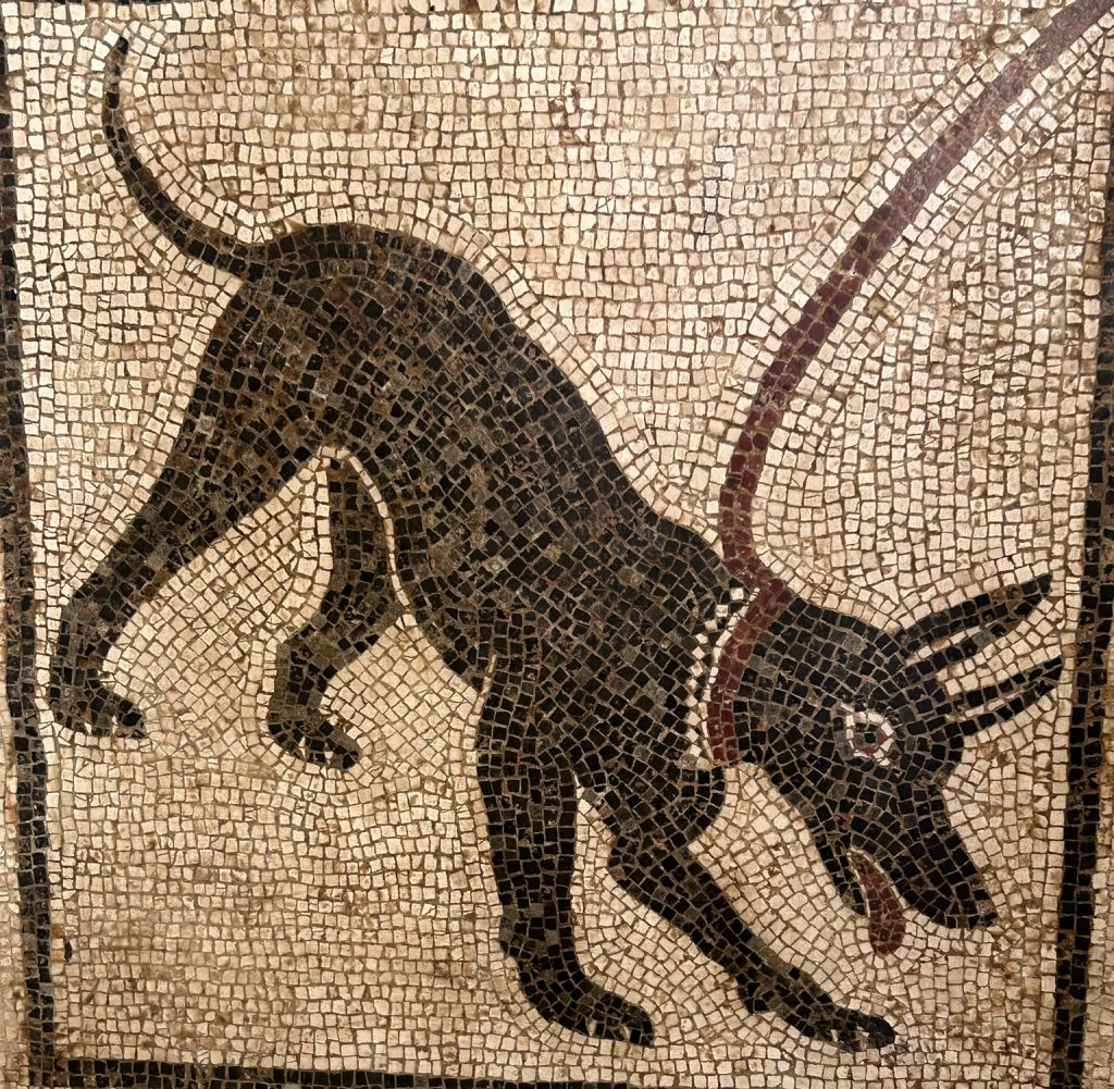 Mosaic of a dog at National Archeaological Museum of Naples