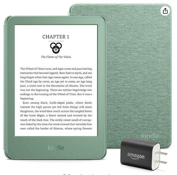 eReader makes a great travel gift