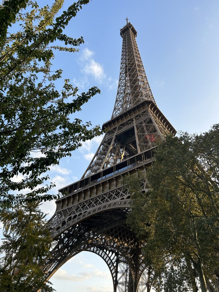 A ground-level shot of the Eiffel Tower framed by trees, emphasizing its grandeur and architectural beauty.