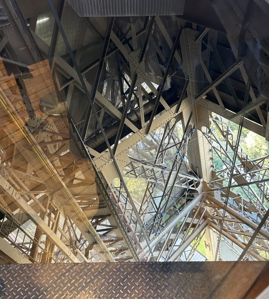 A photo taken from inside the Eiffel Tower's elevator, showing the iron lattice framework and the greenery of the Champ de Mars below.