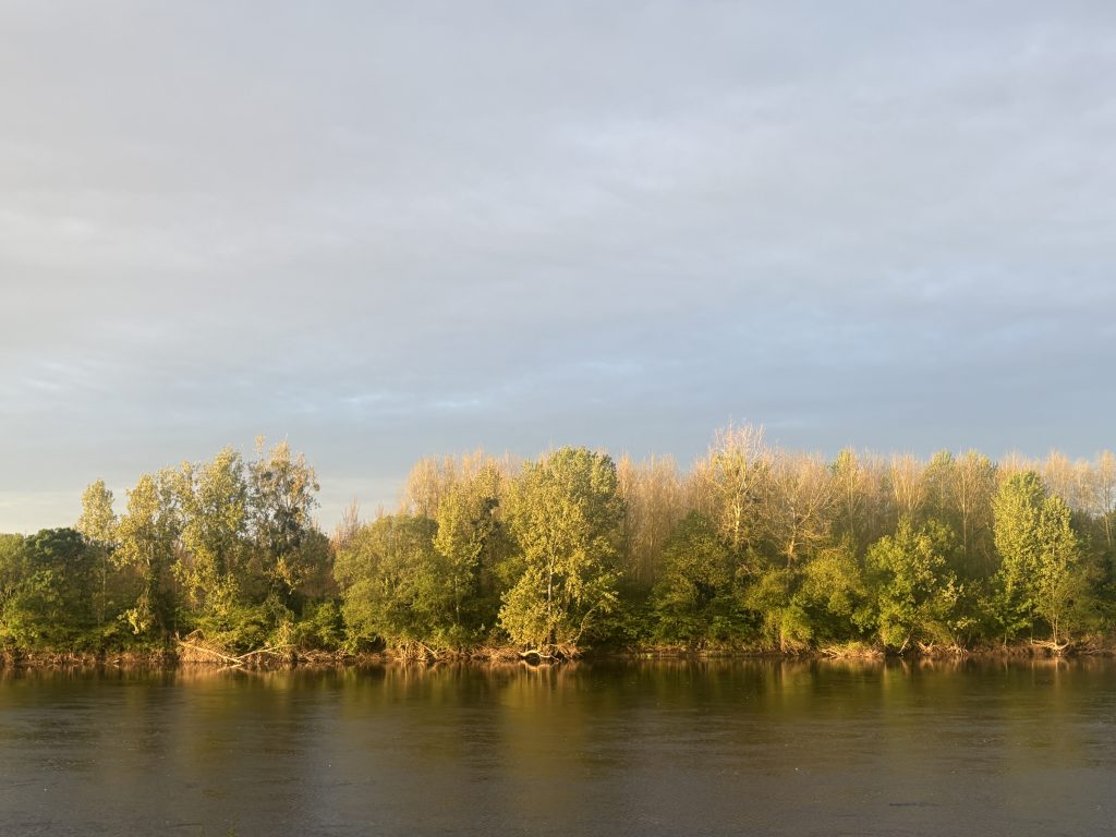 View of the Vienne river from an apartment in chinon in the Loire Valley in the late afternoon