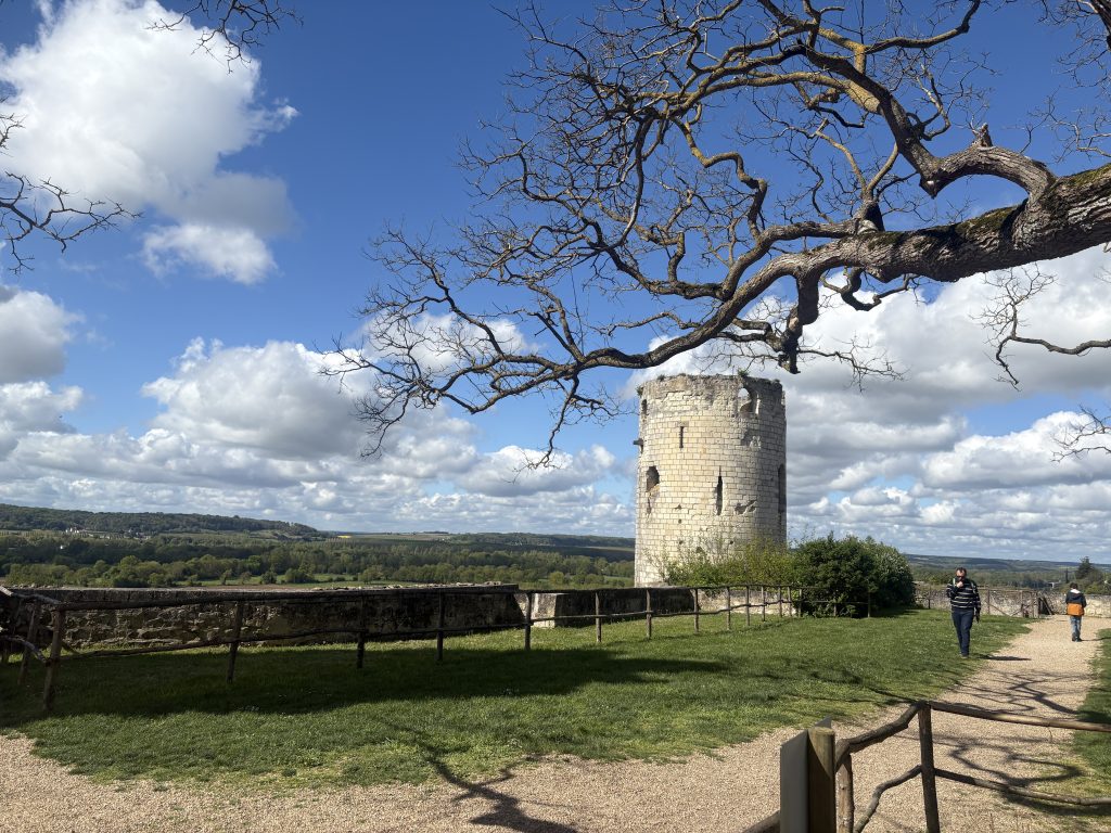 A round stone tower overlooks the verdant Loire Valley countryside from the grounds of Château de Chinon, capturing the serene beauty of this historic château.

