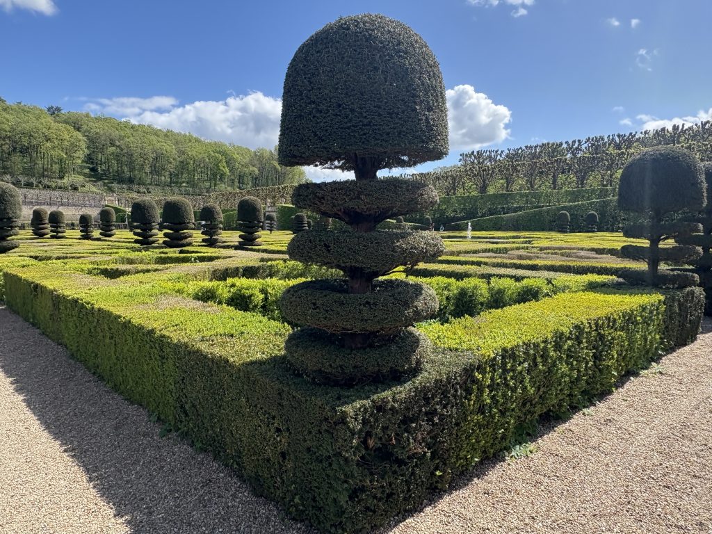 Formal gardens at Villandry chateau in the Loire valley featuring a topiary three-tiered tree in the foreground.