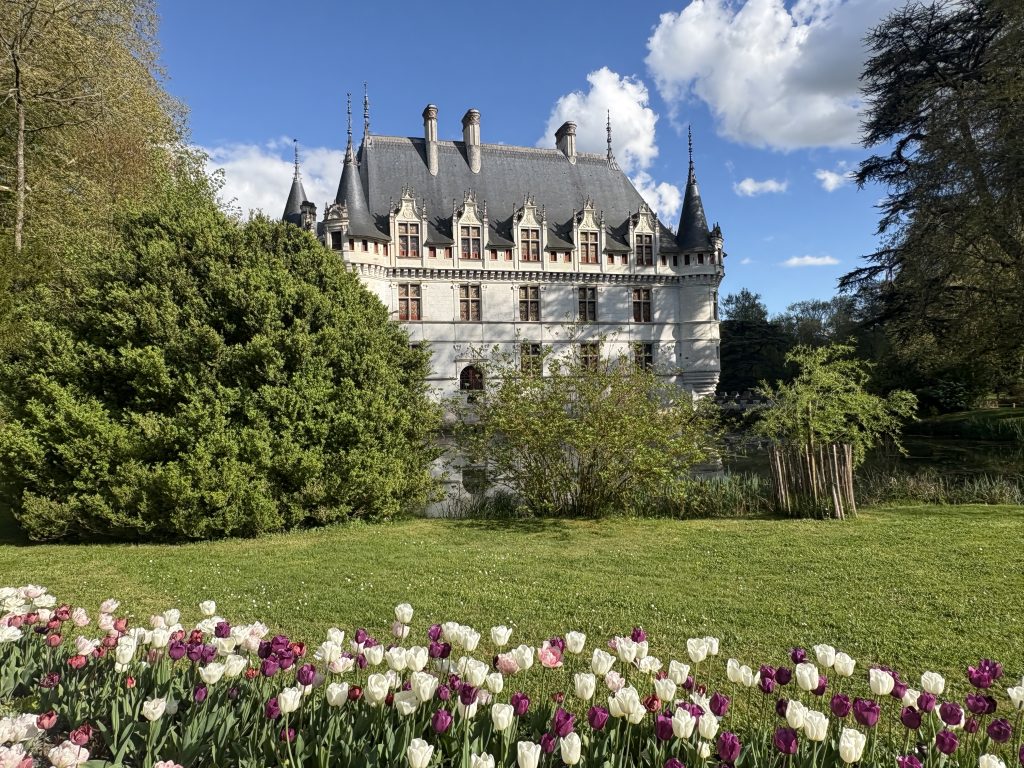 View of Azay-le-Rideau chateau in the Loire Valley with white and purple tulips in the foreground.
