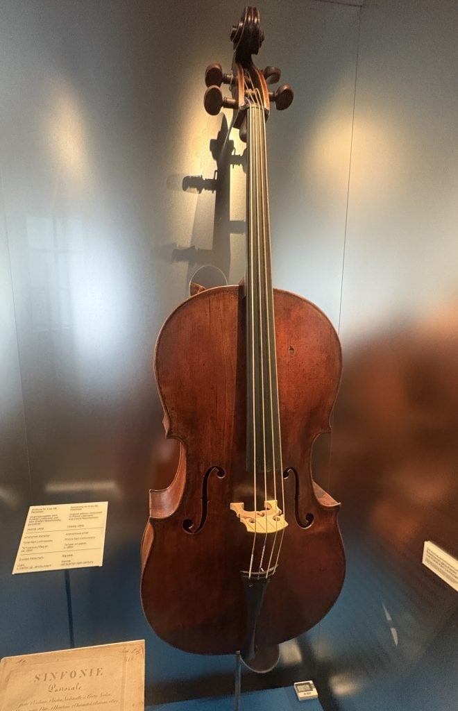 Viola in a case--the one Bewethoven played as a young man and exhibited at the Beethoven-Haus Museum in Bonn, Germany
