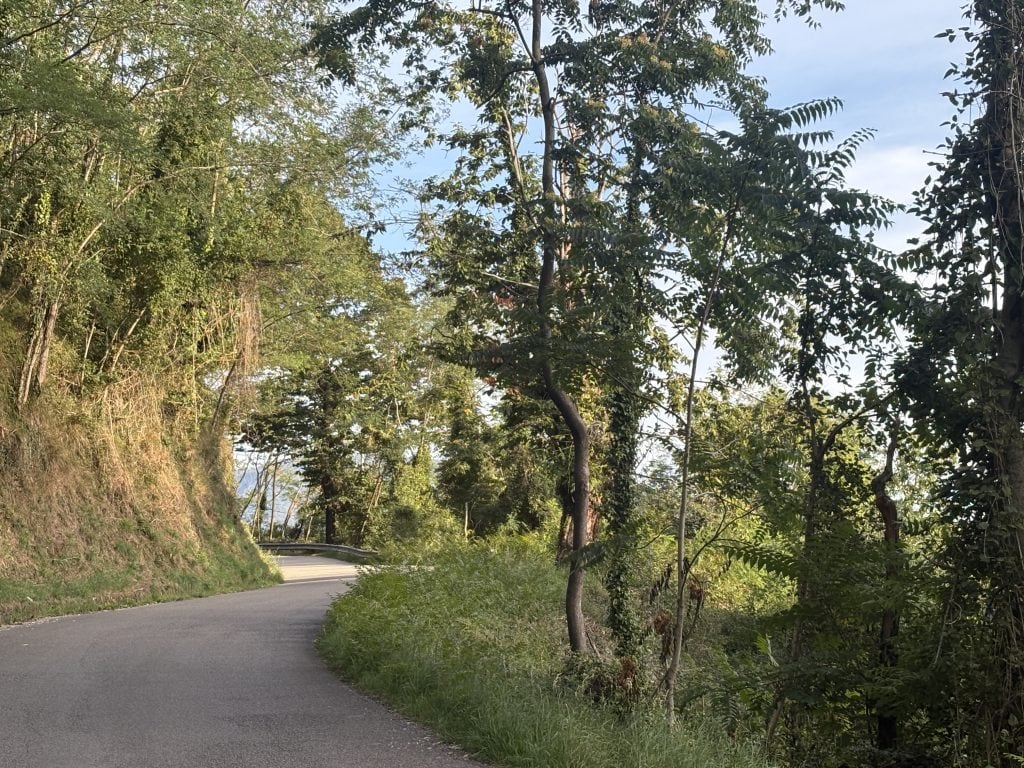 Country road linking Vetteglia to San Gemingnano in Tuscany