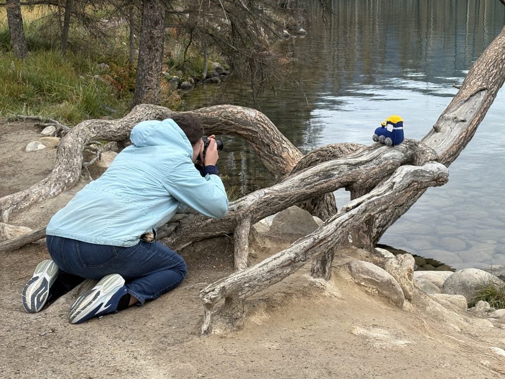 Julia kneeling at the base of a tree taking a photograph of a crochet train perched on a limb.