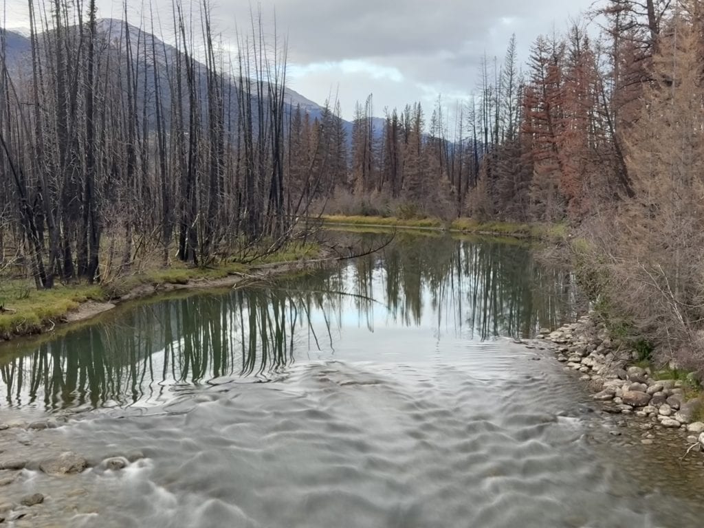 Gorgeous photograph of a still river with blurred rapids in the foreground and the mountains and trees reflected