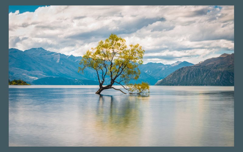 View of the lake at Wanaka in New Zealand with a solitary tree in the foreground and mountains in the background--a stop on the scenic drive along New Zealand'